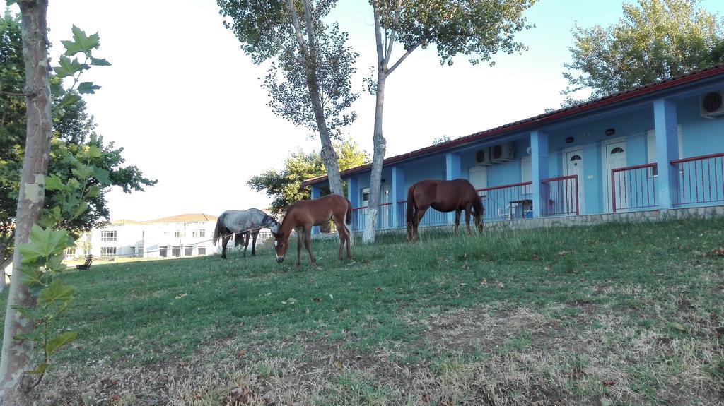 Familia Hotel Loutra Volvis Extérieur photo